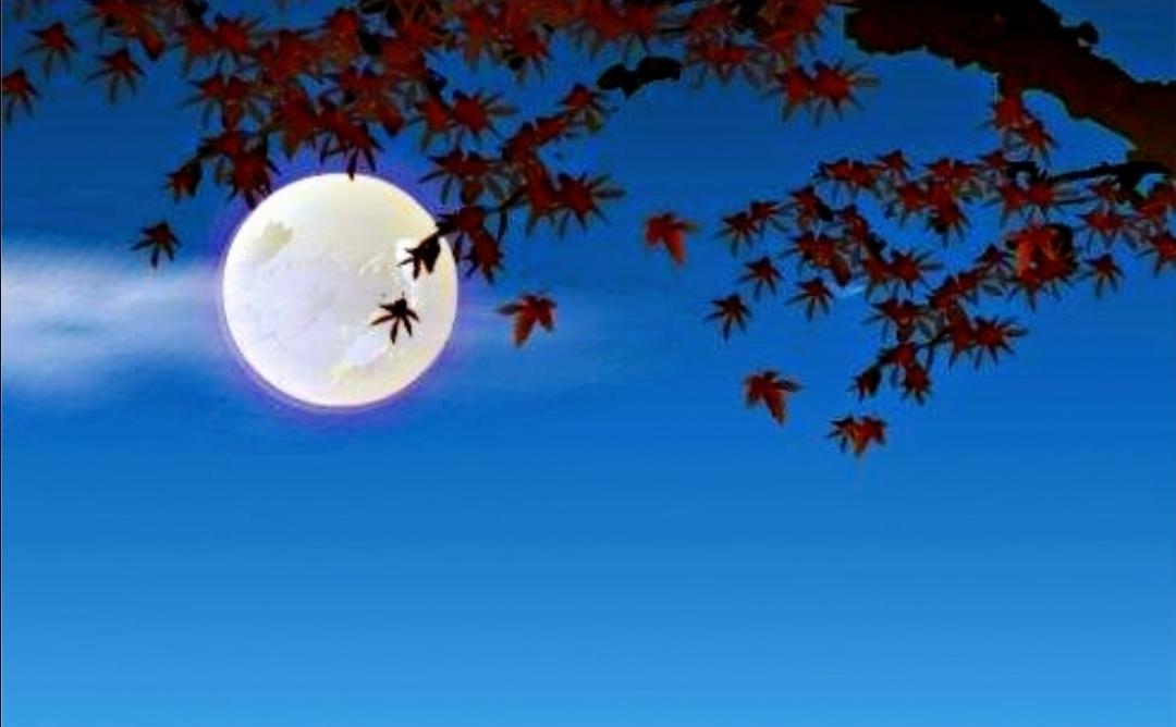 秋空明月悬，光彩露沾湿。读古诗词，邂逅旧时光里的中秋月