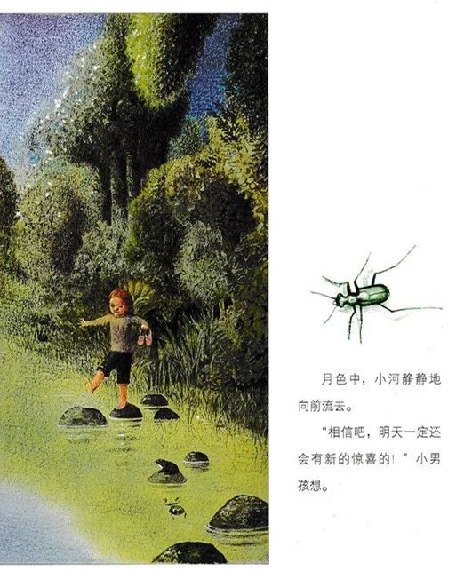 「糖虫妈妈绘本故事」小达尔文的故事