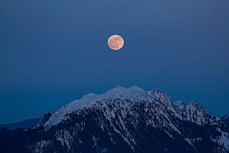 古诗词里的十二月十五，一年中最后的月圆，有雪，有月，有诗意