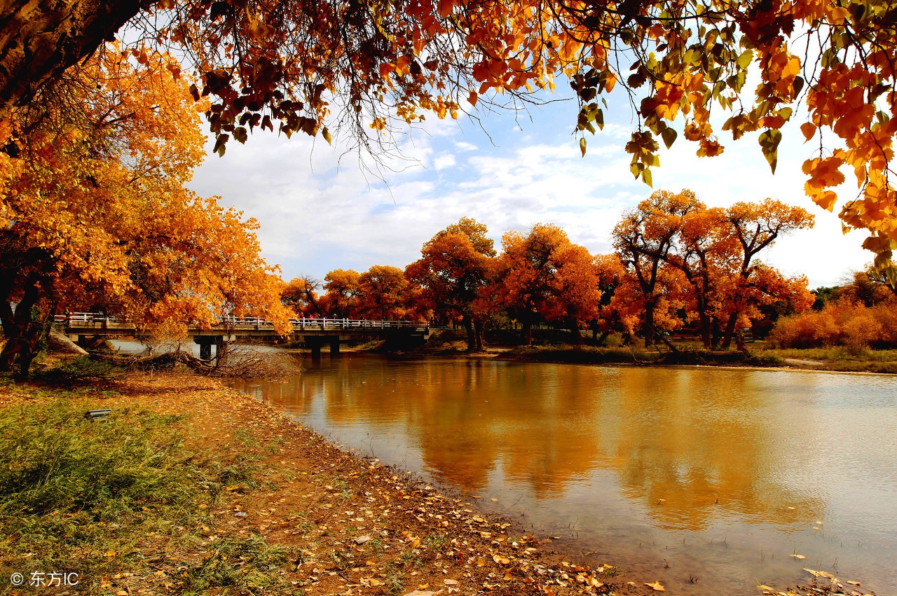 秋天的句子短句唯美 描写秋天的景色的段落