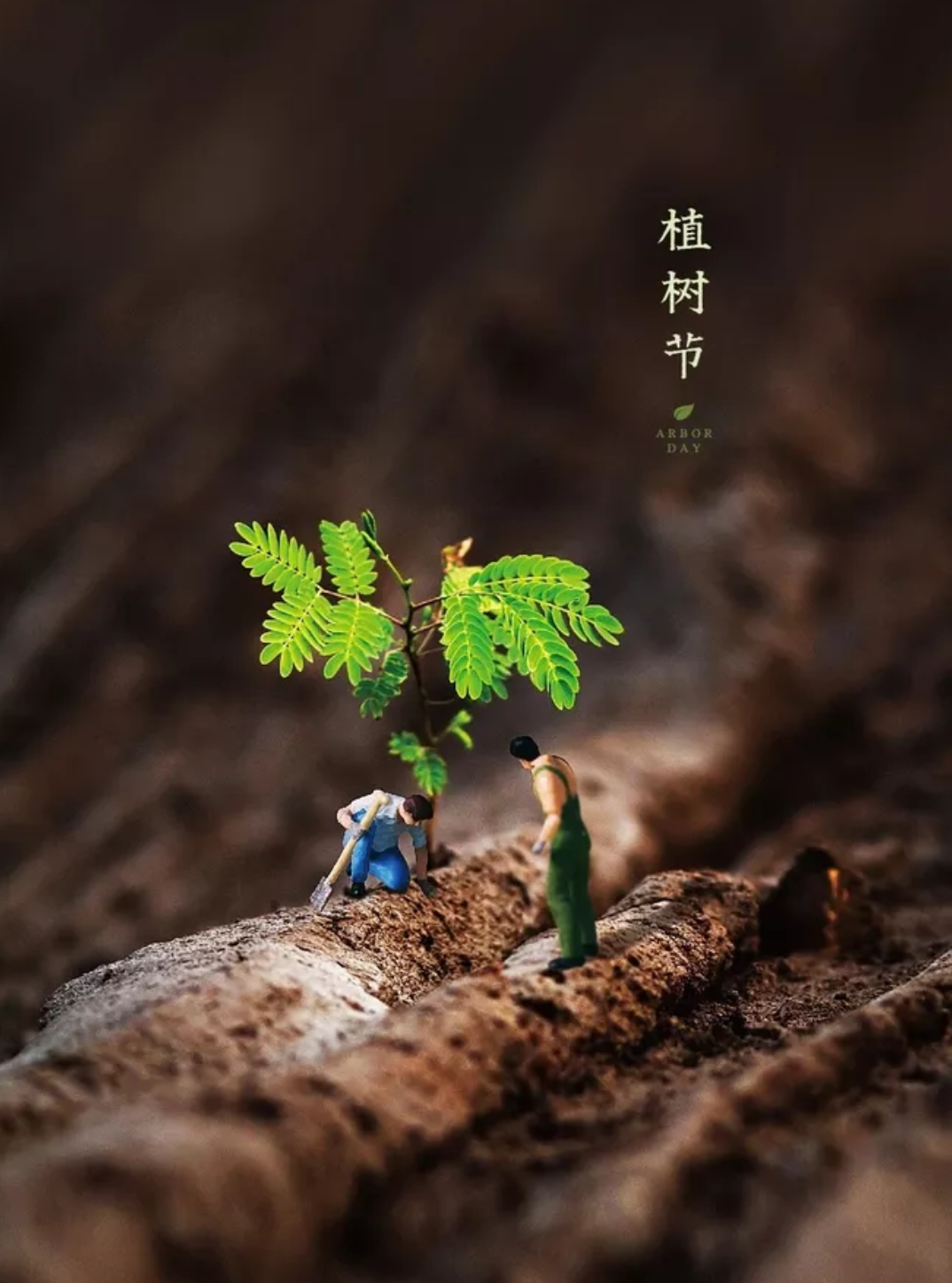 3.12植树节，关于“种树”的古诗词，你都知道哪些？