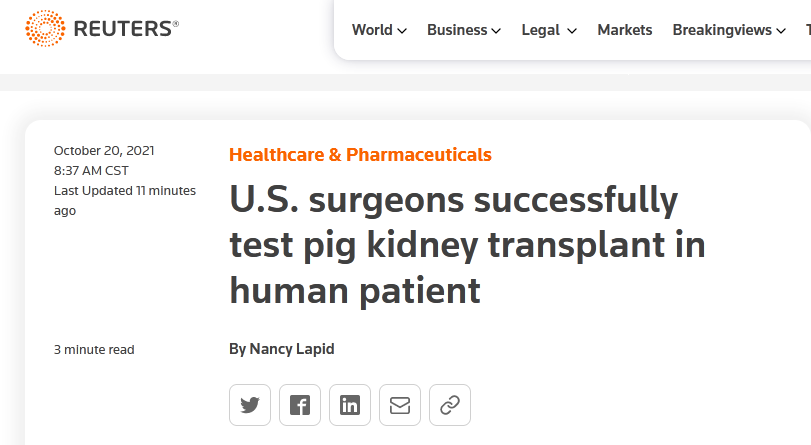 世界首例猪肾脏移植人体手术成功（且未立即出现排异反应）