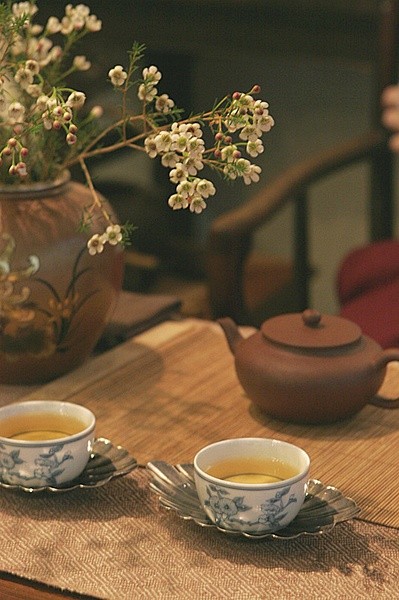 关于茶的唯美句子|松花酿酒，春水煎茶
