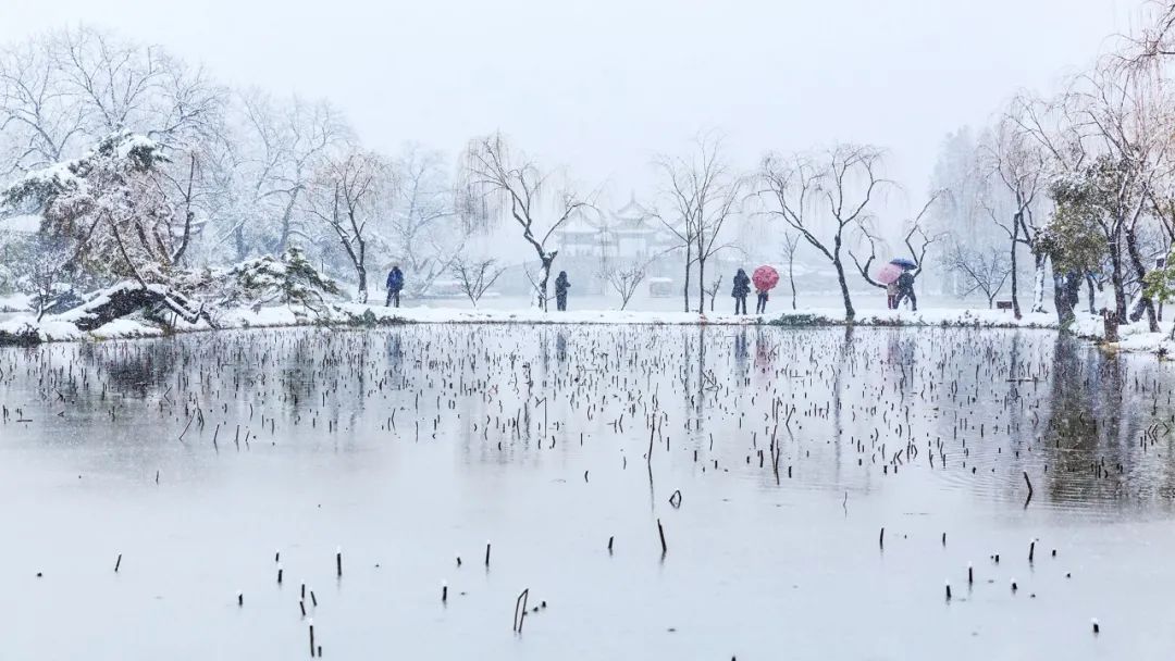 「诗词鉴赏」十首冬景的诗词，冬天的景色，在最美的诗词里
