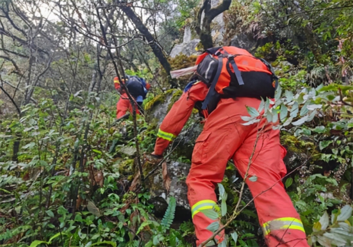 遇难地质人员进山为何穿一次性雨衣（初步判断遇难原因最大可能是失温）