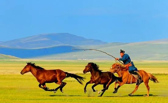15 首写蒙古马的现代诗，哪首最洒脱？