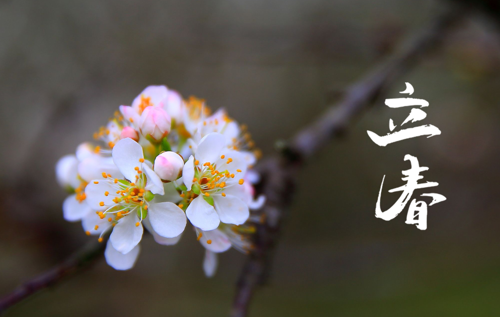 立春的诗词有哪些，描写立春节气的诗句