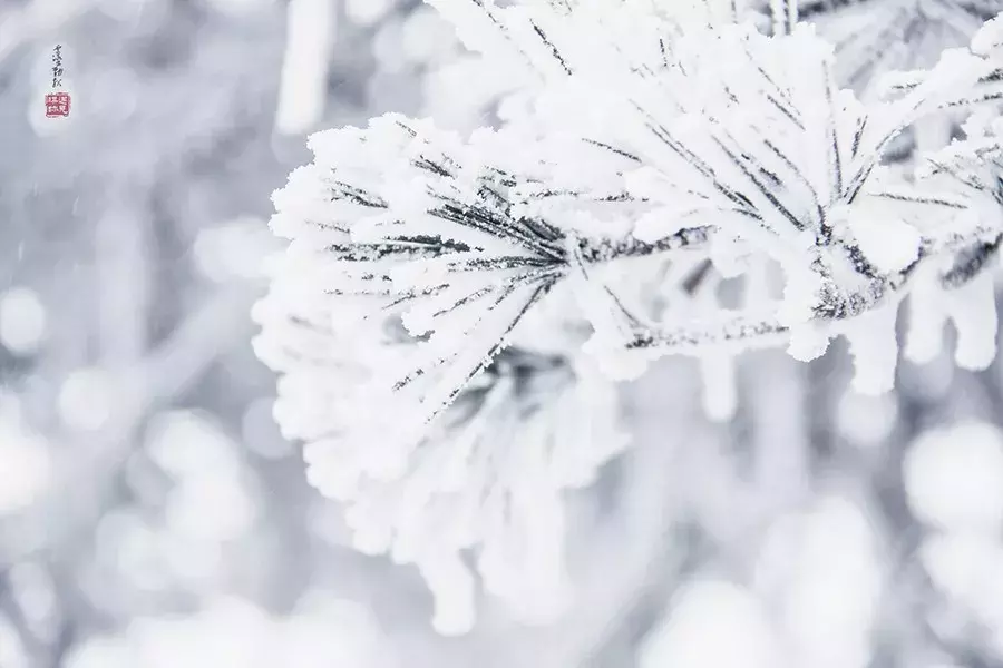 关于冬天的诗词现代，冬天唯美的现代诗
