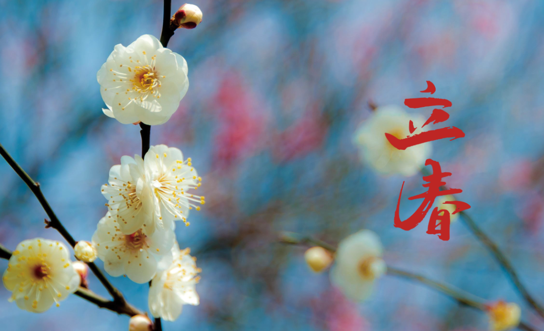 立春的诗词有哪些，描写立春节气的诗句